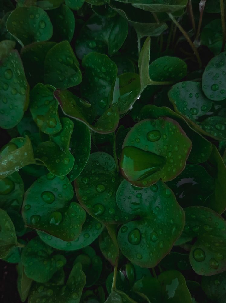 Photograph by Алия Латыйпова