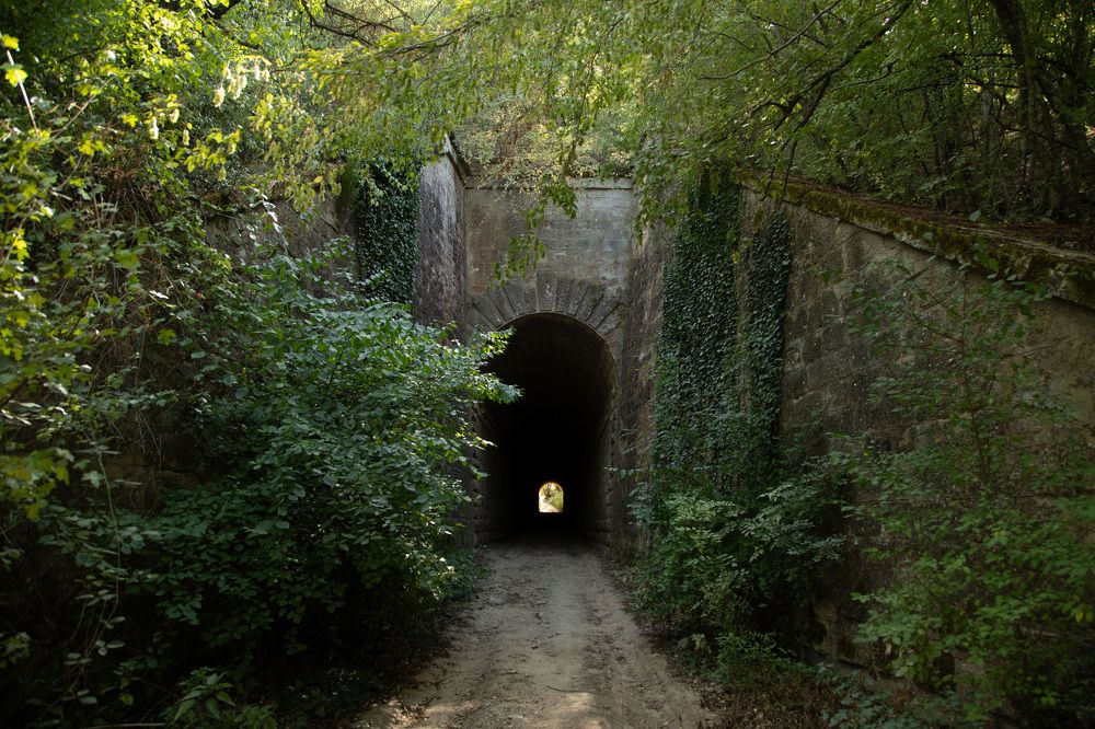 Photograph by Карина Кириченко