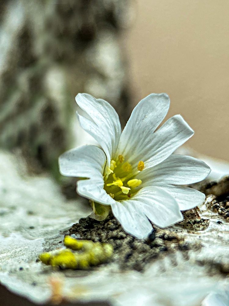 Photograph by Александра Гонтарь