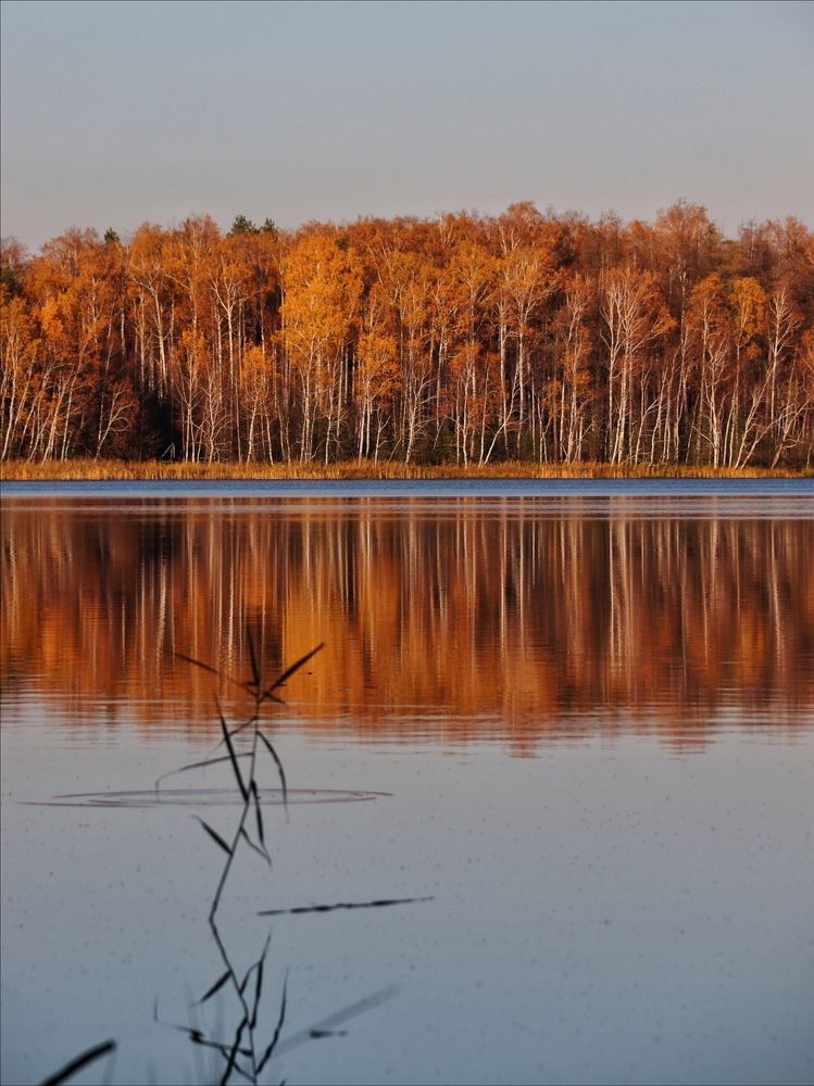 Photograph by Анна Любимова