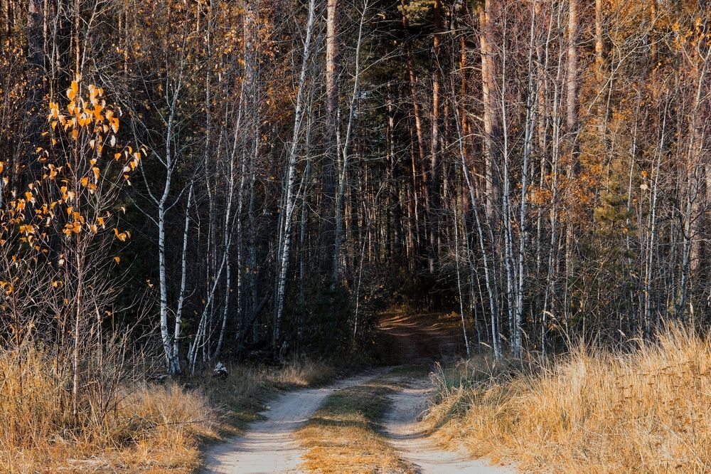 Photograph by Анна Любимова