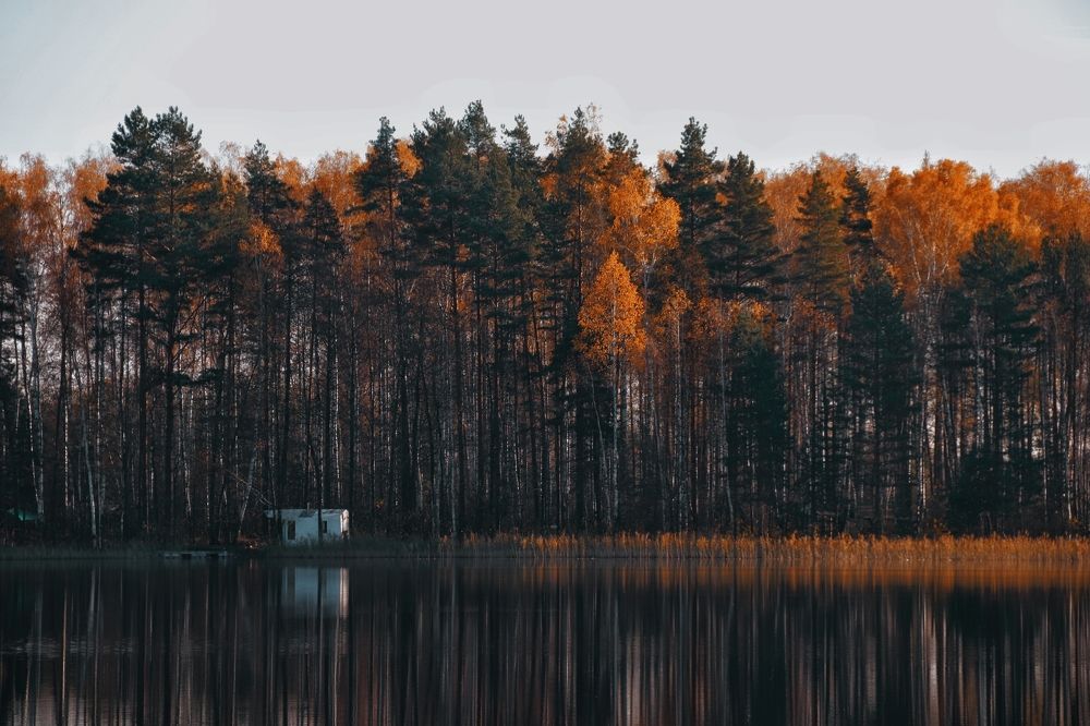 Photograph by Анна Любимова