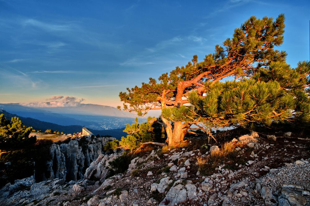Фотография автора Виктор Долматов