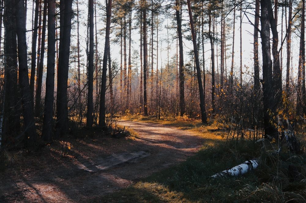 Photograph by Анна Любимова