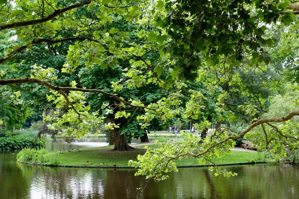 Photograph by Ranko Dokmanovic