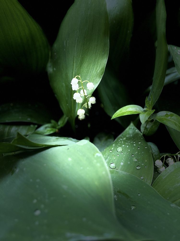 Photograph by Наталья Ермакова