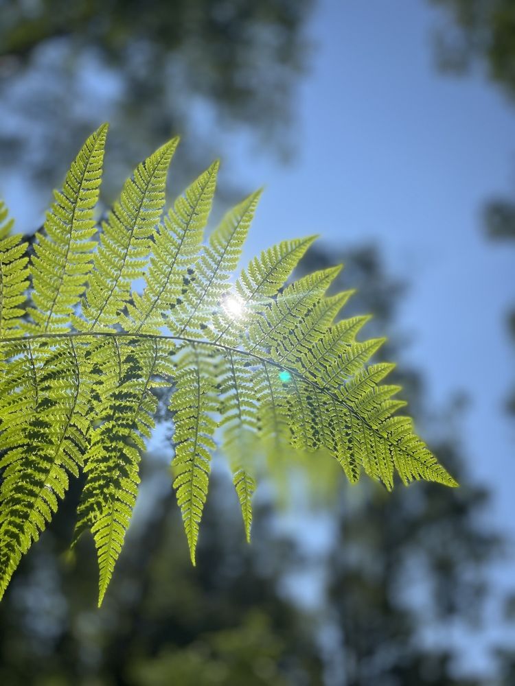Photograph by Наталья Ермакова