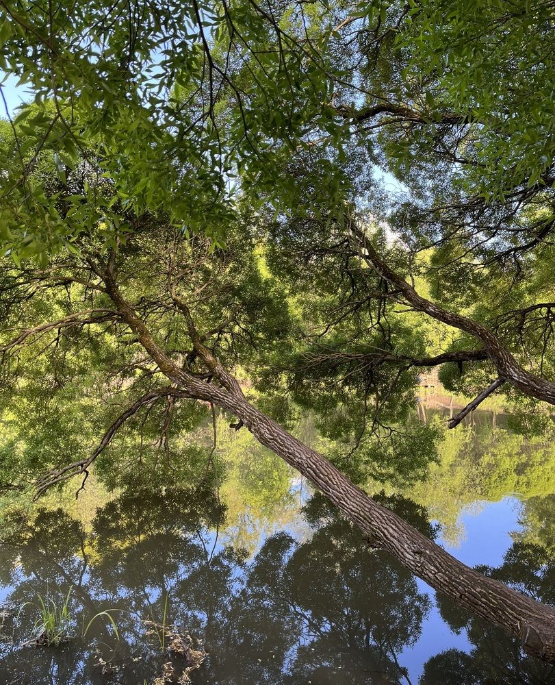 Photograph by Наталья Ермакова