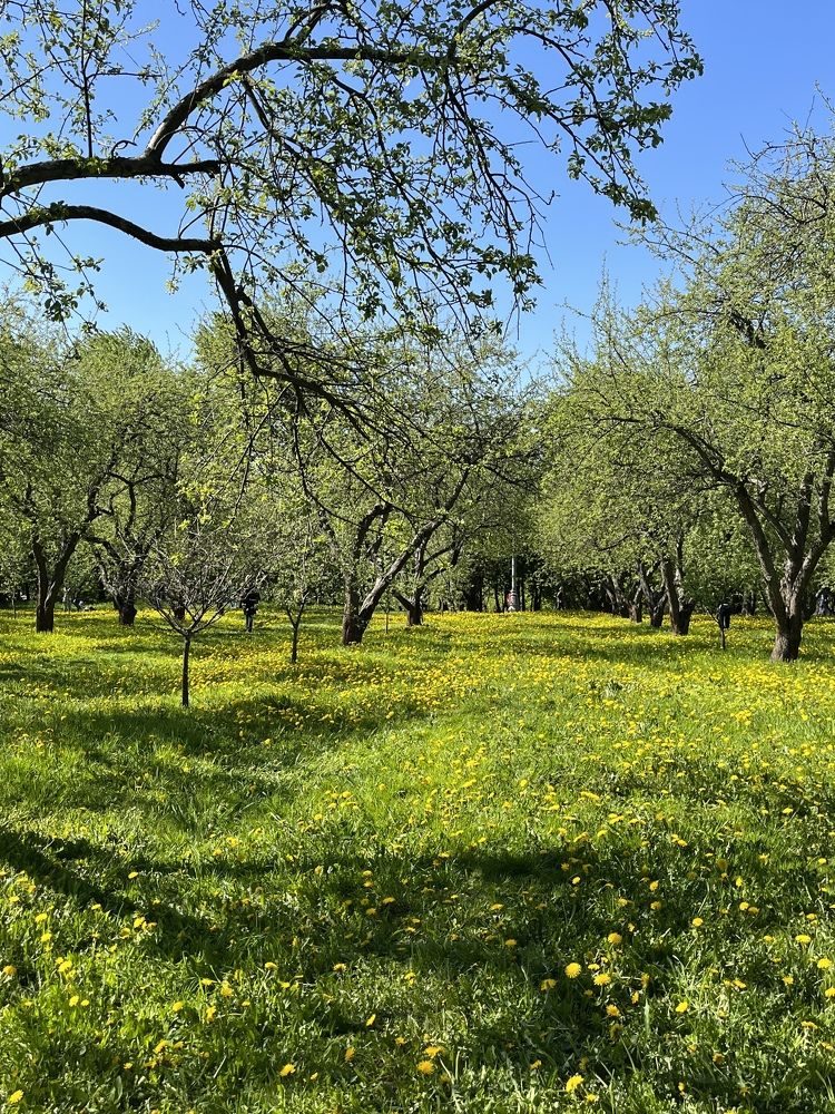 Photograph by Наталья Ермакова