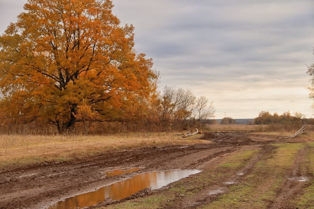 Photograph by Анна Любимова