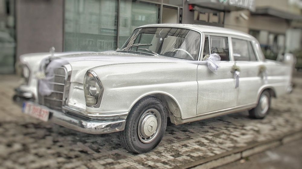 Photograph by Dragoslav Macanović