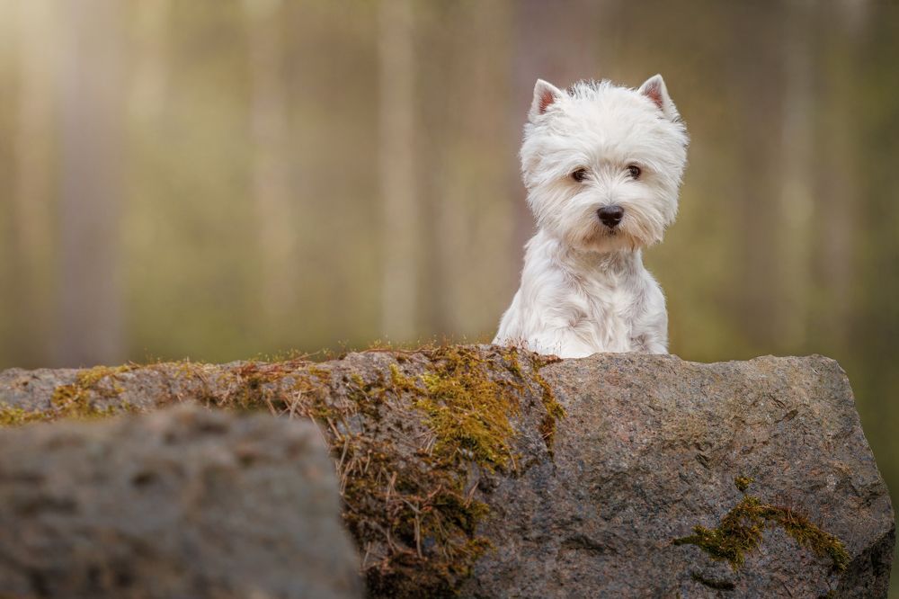 Photograph by Яна Нарбутович