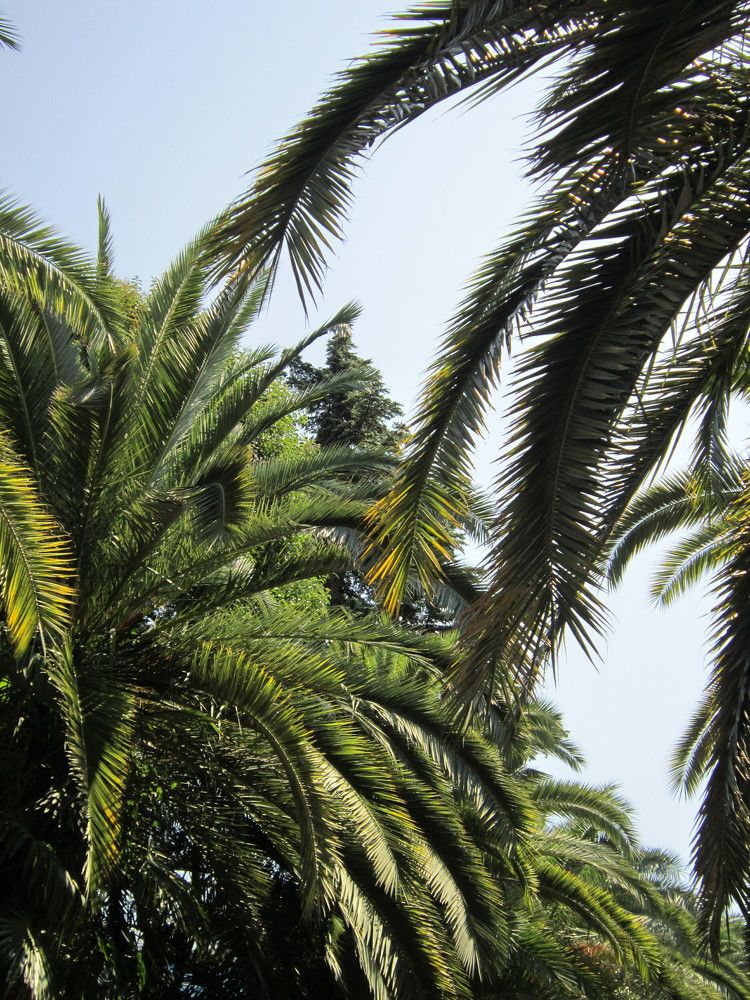 Photograph by Елизавета Зыкова