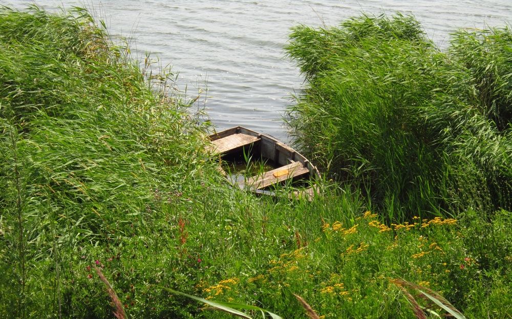 Заброшенная лодка