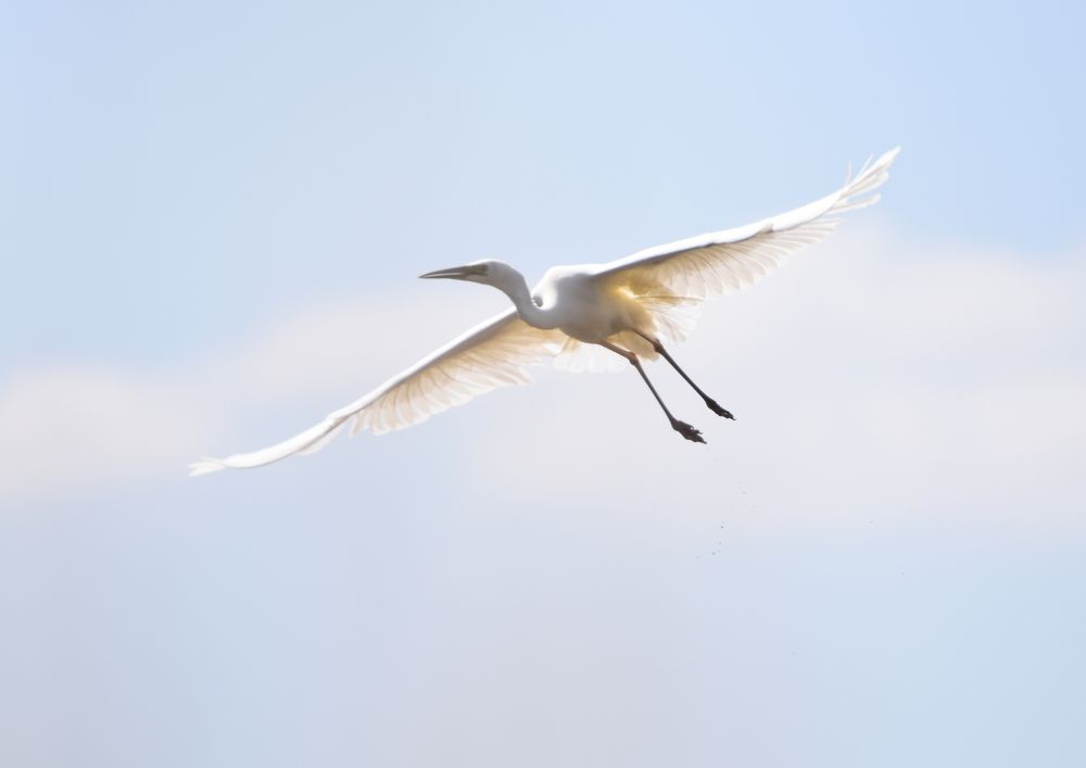 Photograph by Татьяна Калугина