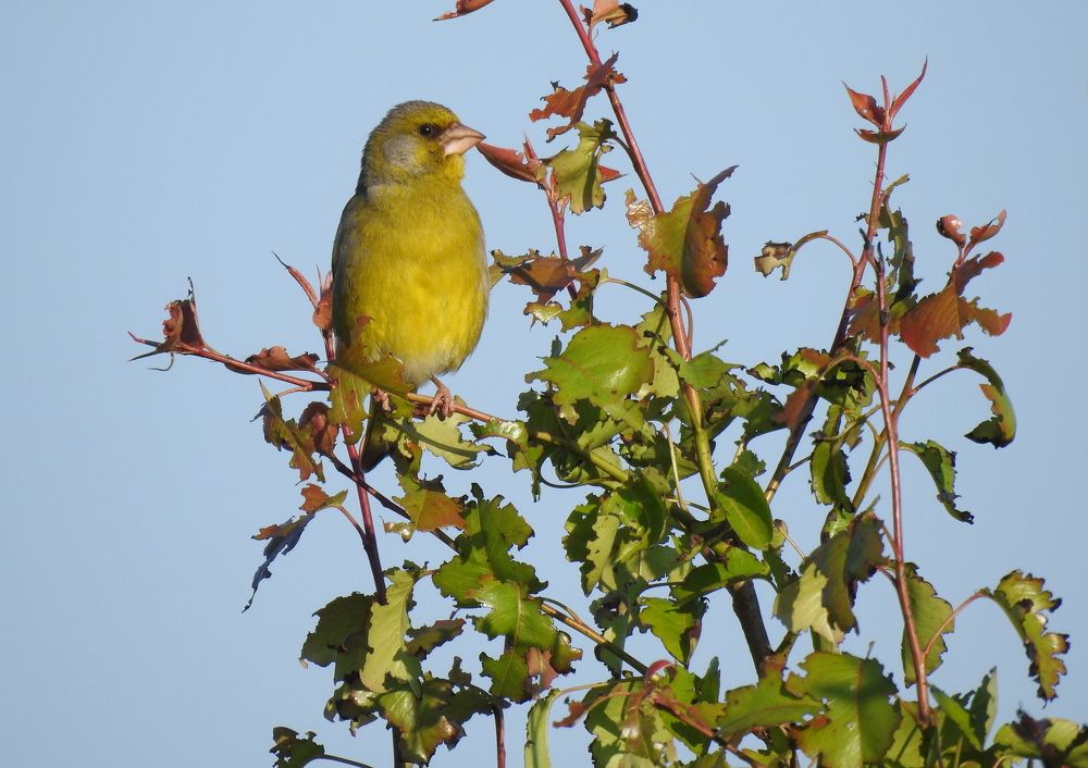 Photograph by Татьяна Калугина