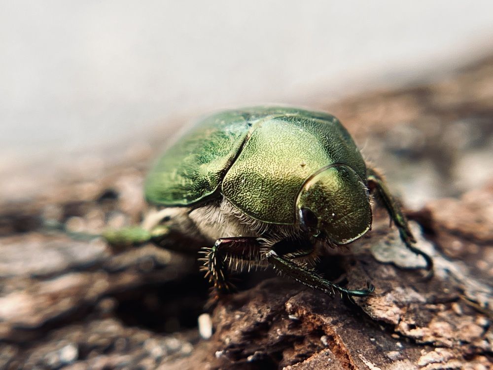 Фотография автора Александра Евченко