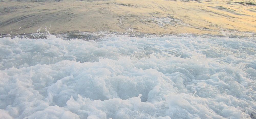 Photograph by Елизавета Зыкова