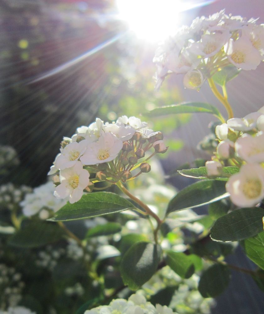 Photograph by Елизавета Зыкова