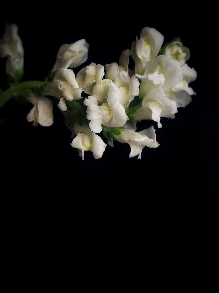 Photograph by Анна Кош