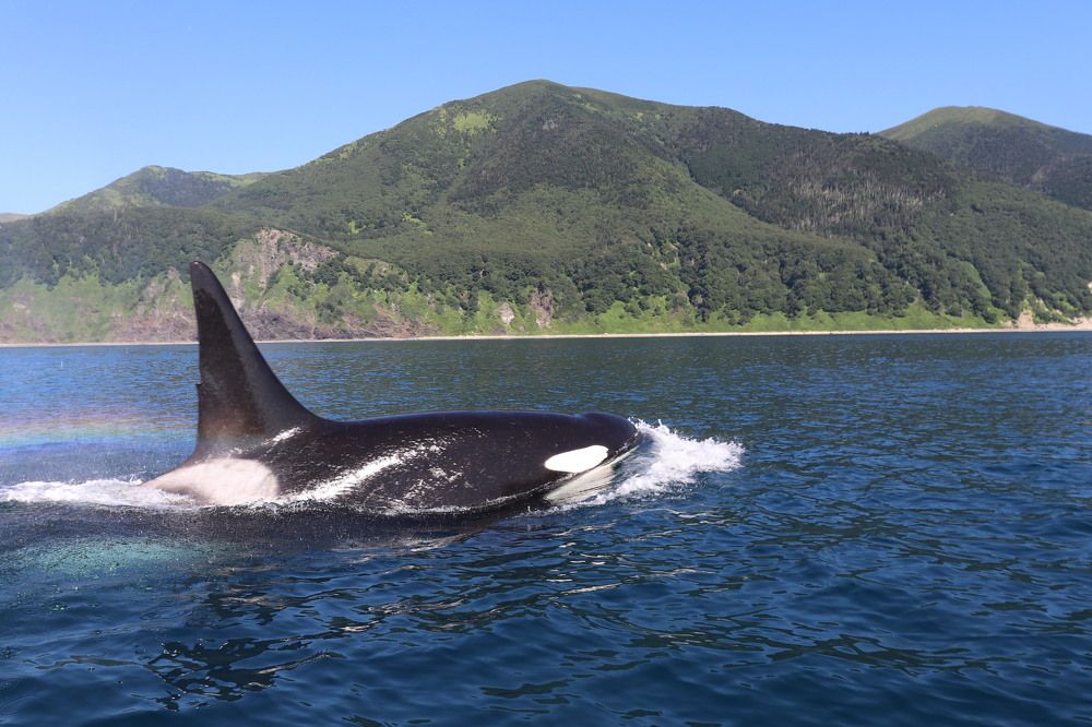 Photograph by Анна Душина