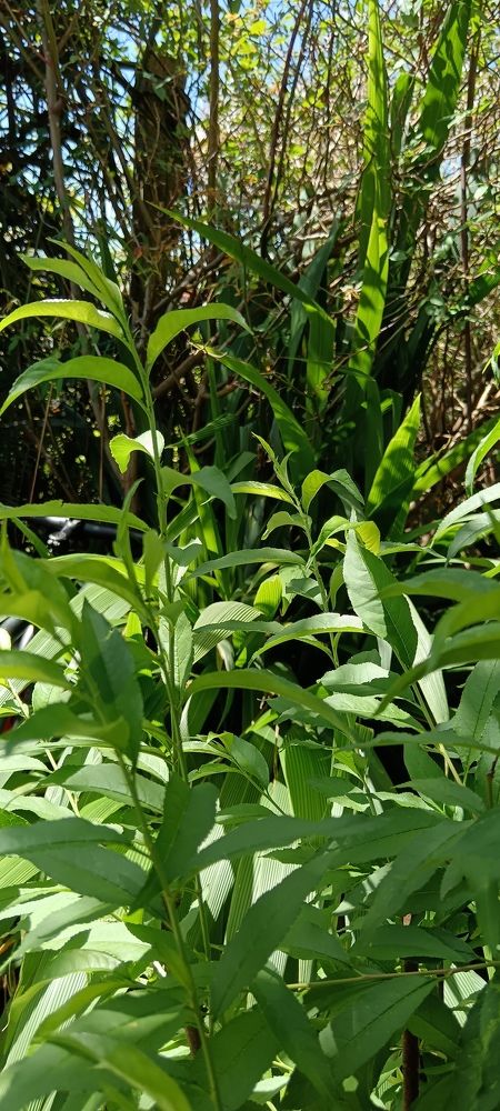 Photograph by Irene Gordillo