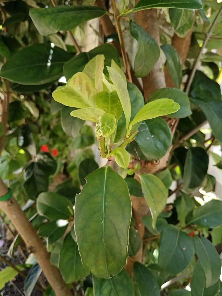 Photograph by Irene Gordillo