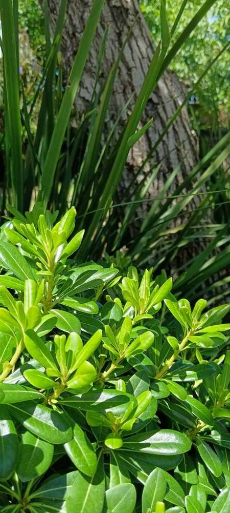 Photograph by Irene Gordillo