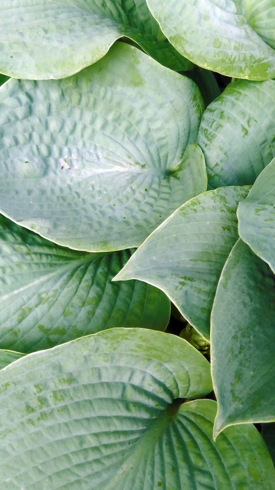 Photograph by Андрей Осмоловский