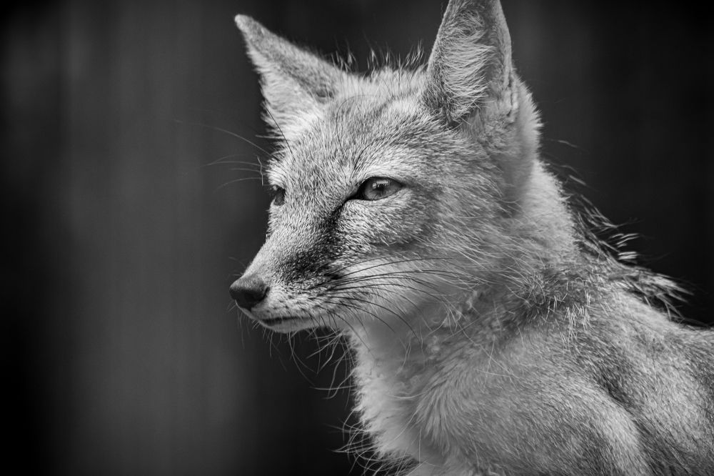 Photograph by Елена Берсенёва