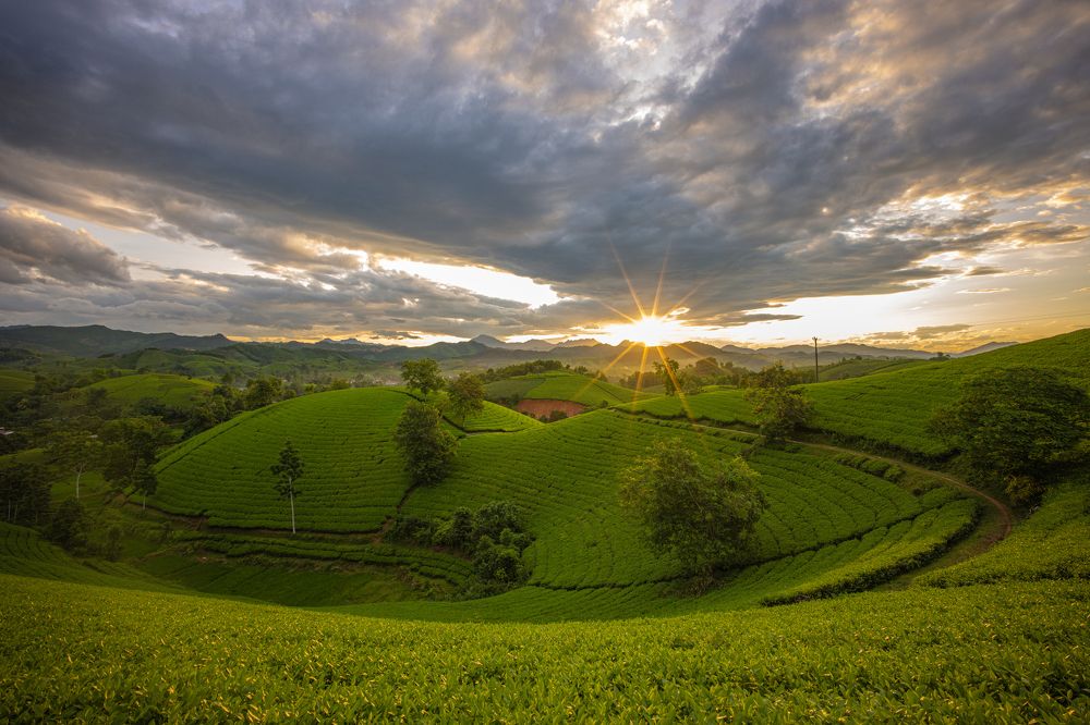 Фотография автора Le Quyen