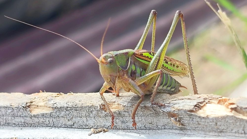 Photograph by Ульяна Северинова