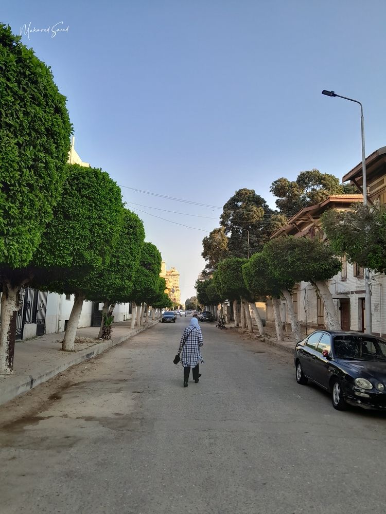 Photograph by mahmoud saeed