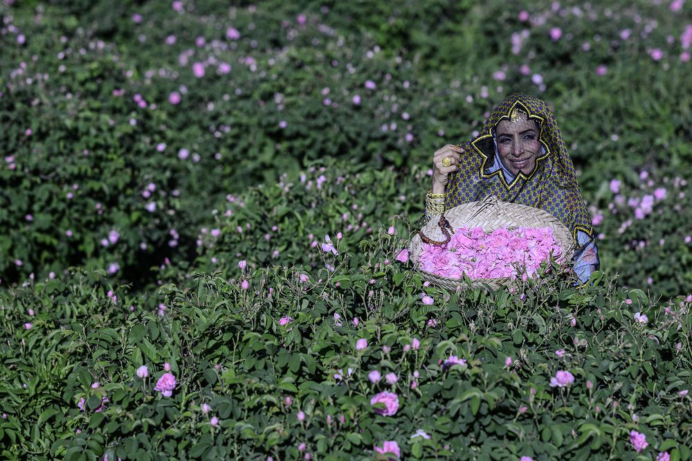 Photograph by Nuwair ALHajeri