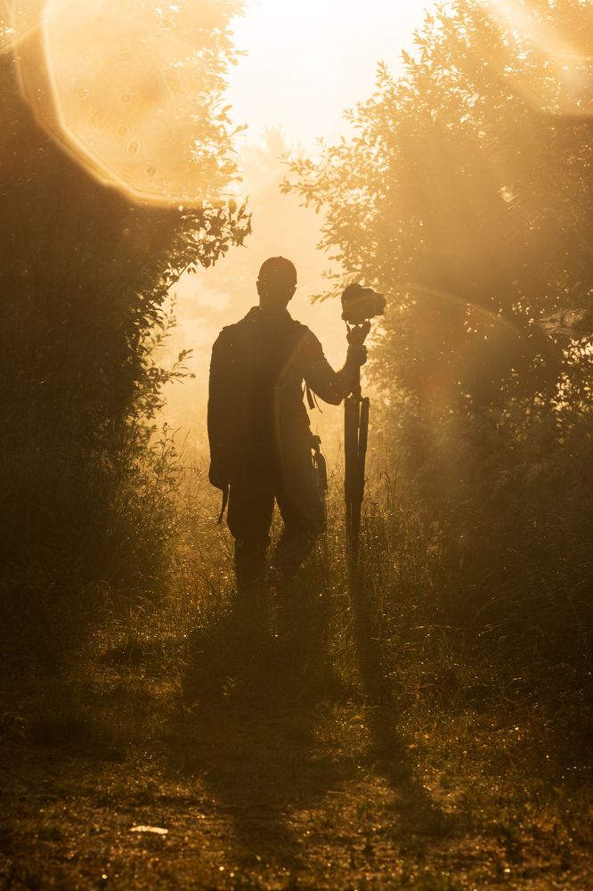 Навстречу новому дню