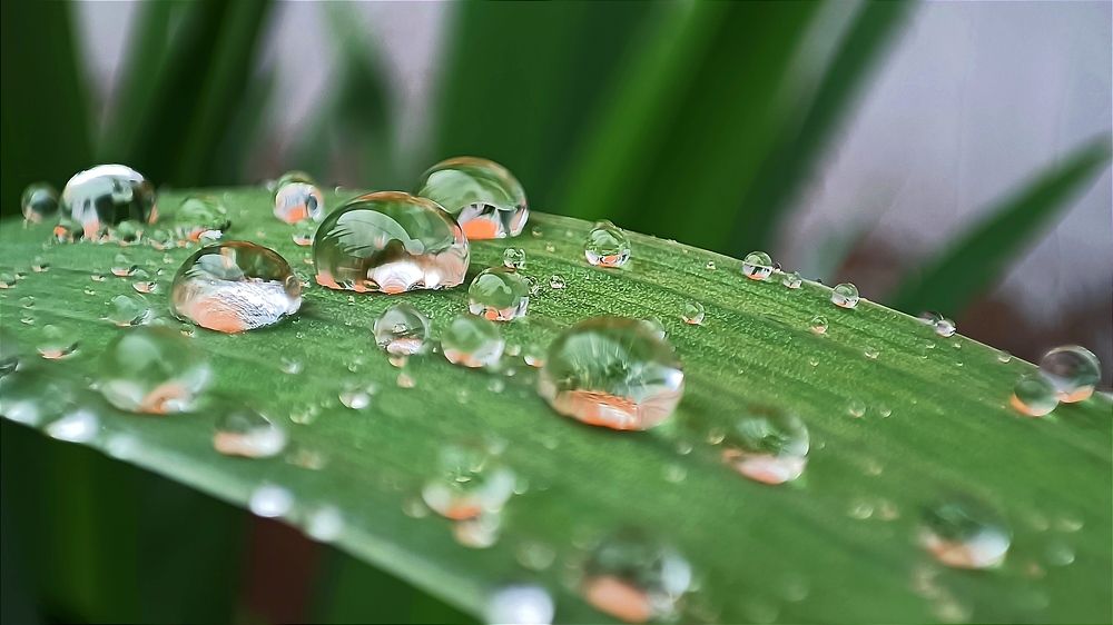 Photograph by Ульяна Северинова