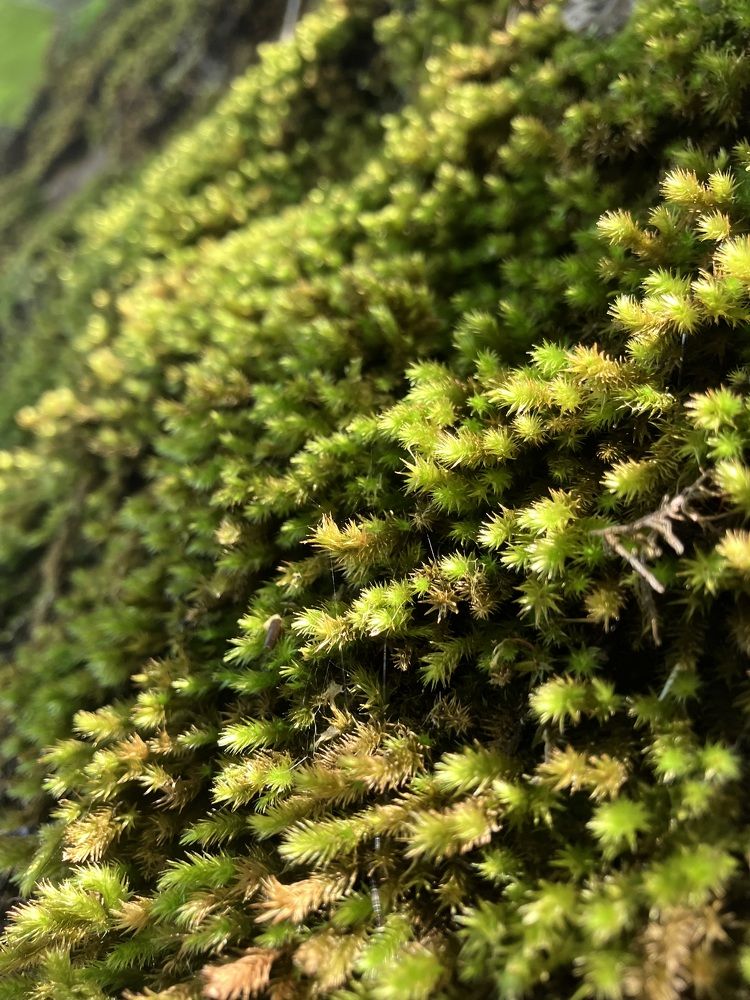 Фотография автора Ксения