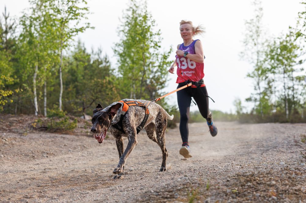 Фотография автора Илья Юфа