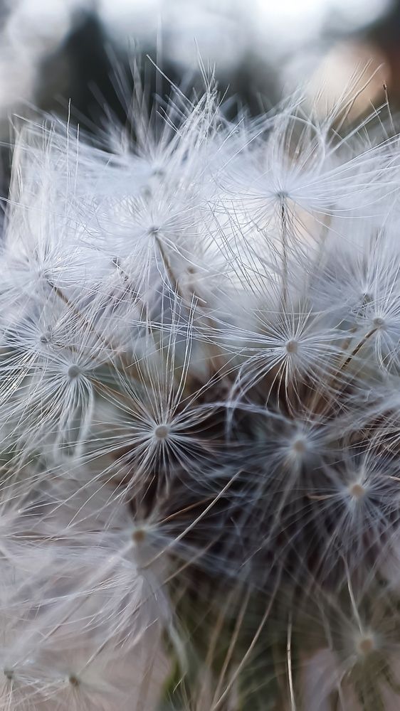 Photograph by Ульяна Северинова