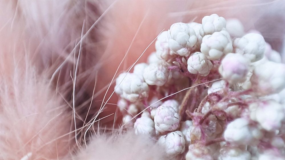 Photograph by Ульяна Северинова