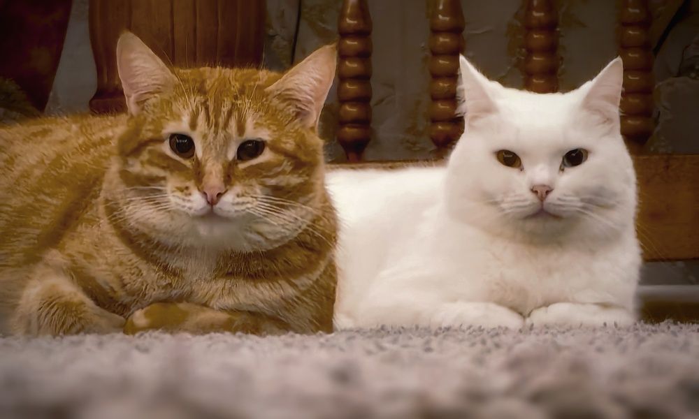 Photograph by Сергей Зайцев