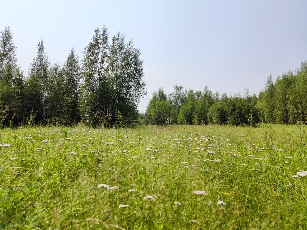 Photograph by Эдуард Герасимов