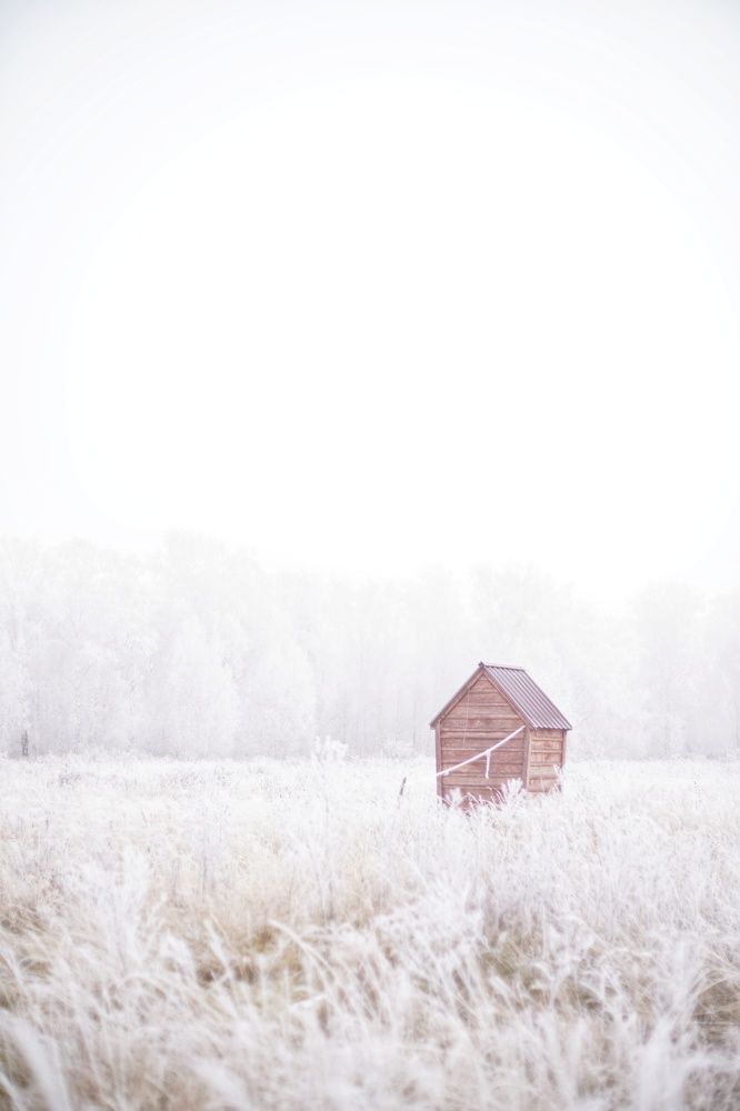 Photograph by Анастасия Позинич