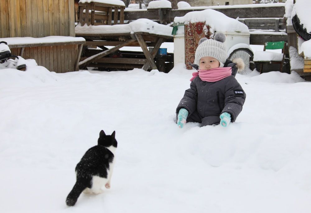 Photograph by Эдуард Герасимов