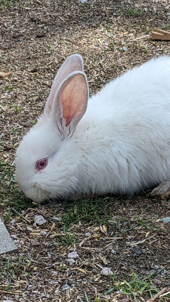 Photograph by Lilit Petrosyan