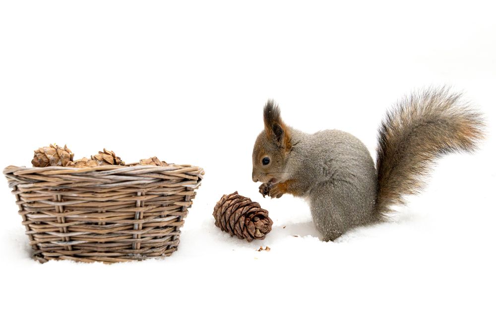 Photograph by Высотских Владимир