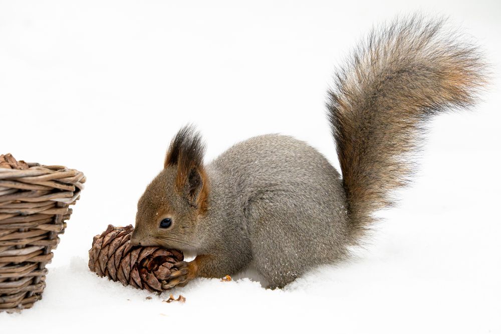 Photograph by Высотских Владимир