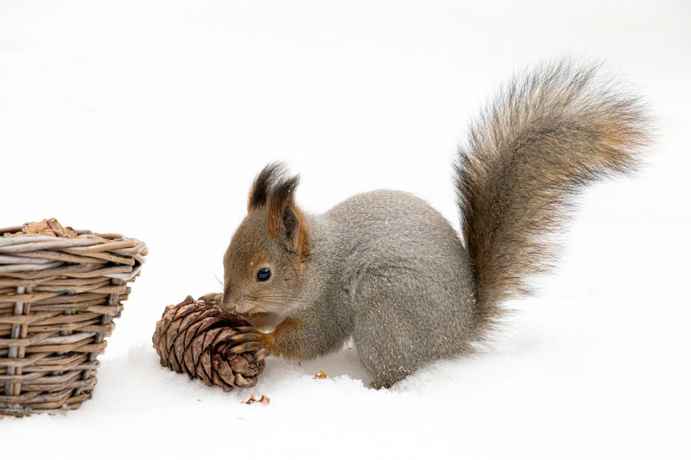 Photograph by Высотских Владимир