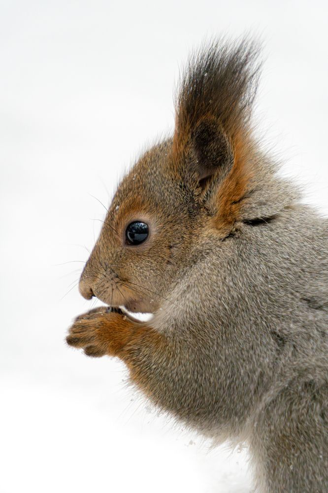 Photograph by Высотских Владимир