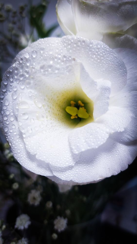 Photograph by Marharita